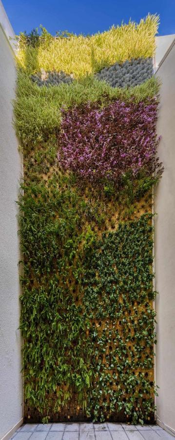 Nature By Raidom Αλικάντε Εξωτερικό φωτογραφία